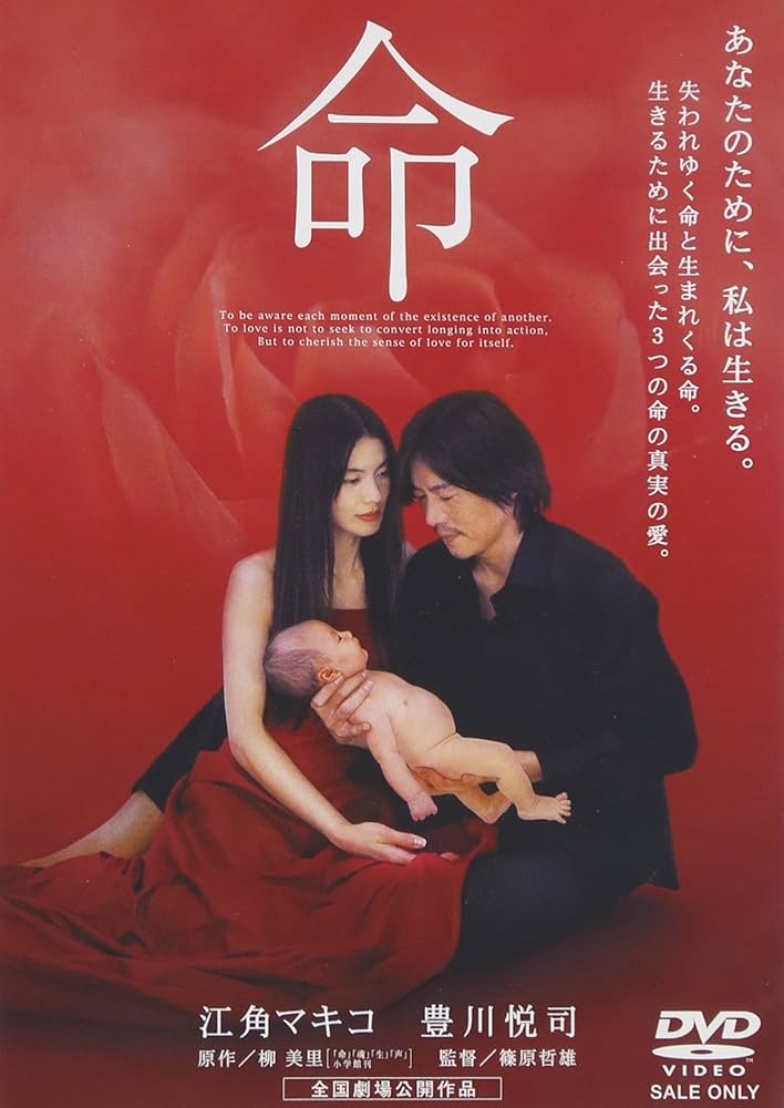 道枝駿佑主演　映画DVD 道枝駿佑主演 映画DVD 道枝駿佑出演】映画「青春18×2 君